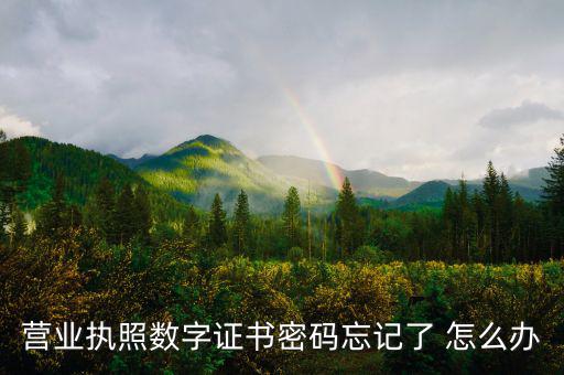 如何找回?cái)?shù)字證書密碼，營業(yè)執(zhí)照數(shù)字證書密碼忘記了 怎么辦