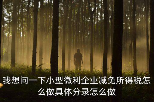 小微企業(yè)所得稅如何減免，我想問一下小型微利企業(yè)減免所得稅怎么做具體分錄怎么做