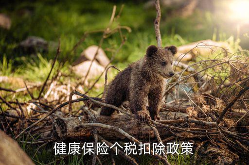 個(gè)人健康保費(fèi)如何在個(gè)稅前扣除，健康保險(xiǎn)怎么抵扣個(gè)稅