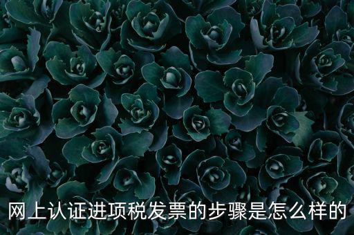 網(wǎng)上認證進項稅發(fā)票的步驟是怎么樣的