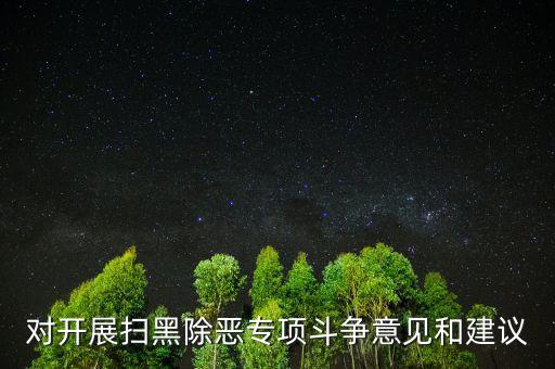 對(duì)開展掃黑除惡專項(xiàng)斗爭意見和建議