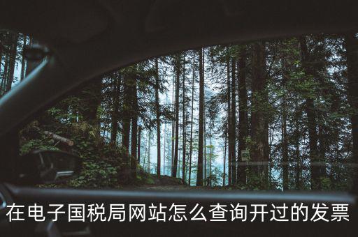 如何查詢電子發(fā)票信息，在電子國稅局網(wǎng)站怎么查詢開過的發(fā)票