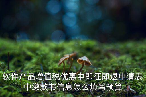 即征即退的退稅申請(qǐng)表如何填寫(xiě)，軟件產(chǎn)品增值稅優(yōu)惠中即征即退申請(qǐng)表中繳款書(shū)信息怎么填寫(xiě)預(yù)算