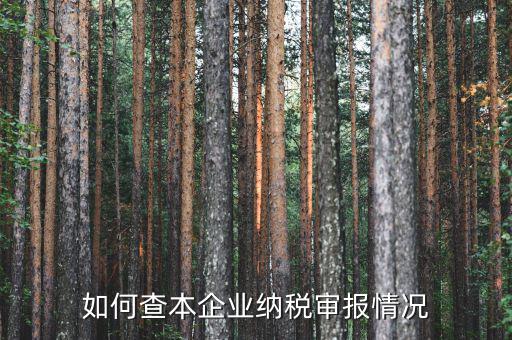 如何查詢公司納稅情況，如何查本企業(yè)納稅審報(bào)情況