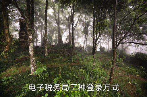 遼寧省網(wǎng)上稅務(wù)局如何登錄，可以用手機(jī)登陸遼寧省電子稅務(wù)局嗎