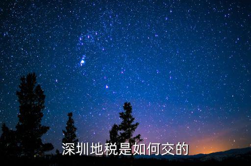 深圳市國家稅務(wù)局如何交稅，深圳市公司網(wǎng)上報國稅要這么操作啊
