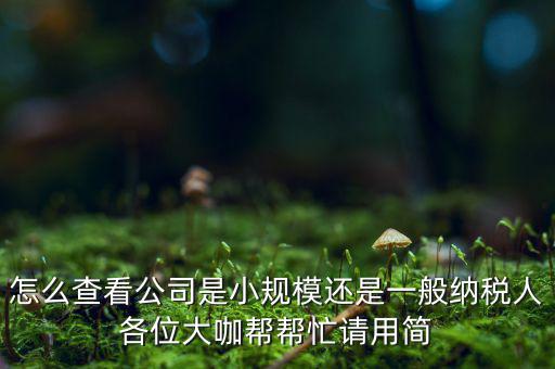 怎么查看公司是小規(guī)模還是一般納稅人各位大咖幫幫忙請(qǐng)用簡