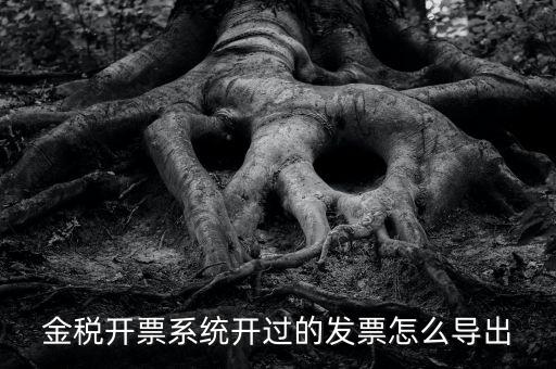 金稅開票系統(tǒng)開過的發(fā)票怎么導(dǎo)出