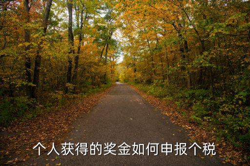 如何將獎金的稅款繳納至稅務(wù)局，個人獲得的獎金如何申報個稅