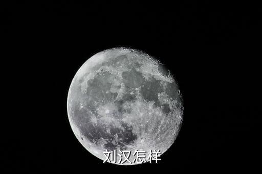 劉漢資產(chǎn)怎么處理,劉漢，四川漢龍集團(tuán)原董事長