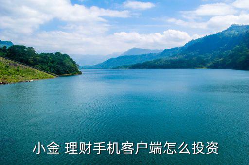  小金 理財手機(jī)客戶端怎么投資