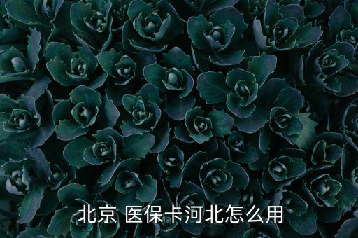  北京 醫(yī)?？ê颖痹趺从? class=