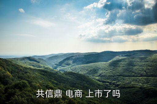 電商怎么上市,南極電商在納斯達克上市騰訊、慧聰網(wǎng)香港上市