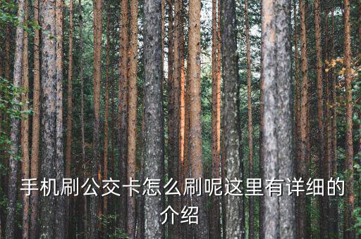 刷手機(jī)結(jié)賬怎么刷,手機(jī)系統(tǒng)損壞導(dǎo)致無(wú)法開機(jī)可通過(guò)刷機(jī)解決