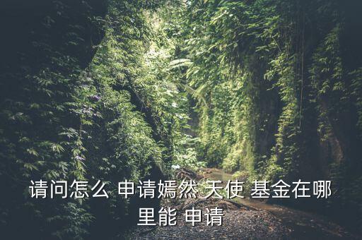 請(qǐng)問(wèn)怎么 申請(qǐng)嫣然 天使 基金在哪里能 申請(qǐng)