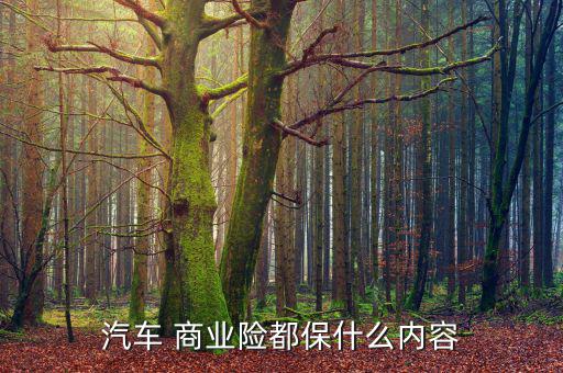商業(yè)險怎么保,買汽車保險注意事項(xiàng)