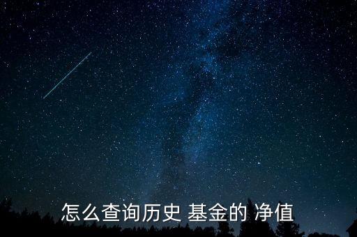 怎么查詢(xún)歷史 基金的 凈值