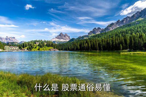 怎么懂股票,股票基礎(chǔ)、股票定投、投資書籍等資源免費下載