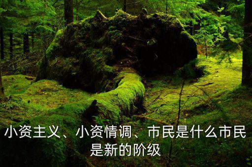 小資主義、小資情調、市民是什么市民是新的階級