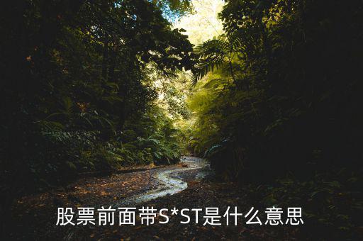 怎么排除st,特殊待遇加s表示沒有股改的股票