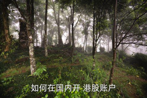 如何在國內開 港股賬戶