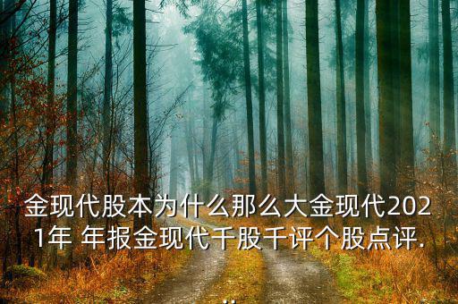 金現(xiàn)代股本為什么那么大金現(xiàn)代2021年 年報(bào)金現(xiàn)代千股千評個(gè)股點(diǎn)評...