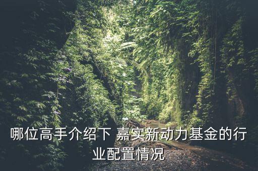 嘉實(shí)新興產(chǎn)業(yè)怎么樣,嘉實(shí)新興產(chǎn)業(yè)開(kāi)放式基金招募說(shuō)明書