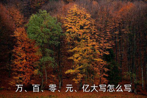 萬、百、零、元、億大寫怎么寫