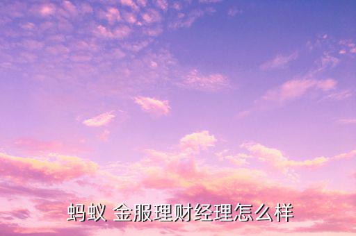  螞蟻 金服理財經理怎么樣