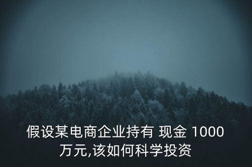 假設(shè)某電商企業(yè)持有 現(xiàn)金 1000萬元,該如何科學(xué)投資