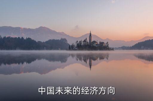 中國(guó)未來的經(jīng)濟(jì)方向
