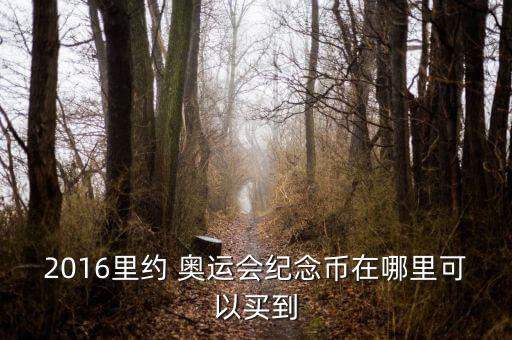 2016里約 奧運(yùn)會(huì)紀(jì)念幣在哪里可以買(mǎi)到