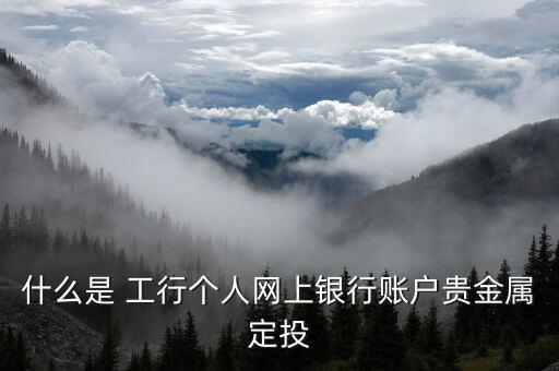什么是 工行個(gè)人網(wǎng)上銀行賬戶(hù)貴金屬定投