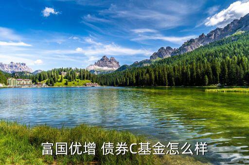嘉實(shí)債券怎么樣,短債基金包括諾安債券、友邦短債、嘉實(shí)超短債