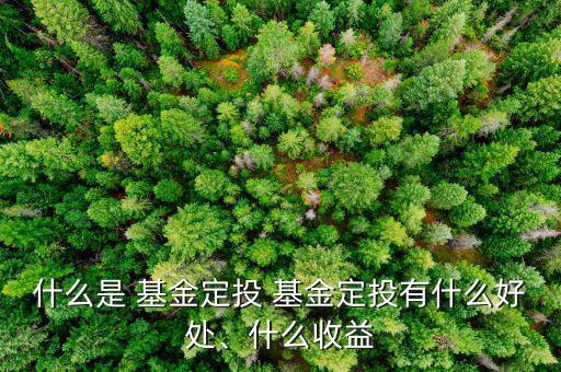 什么是 基金定投 基金定投有什么好處、什么收益