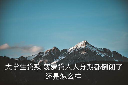 菠蘿貸怎么樣,申請(qǐng)小額貸款條件:一文讀懂!貸款流程