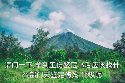 請問一下,拿到工傷鑒定書后應(yīng)該找什么部門去鑒定傷殘 評(píng)級(jí)呢
