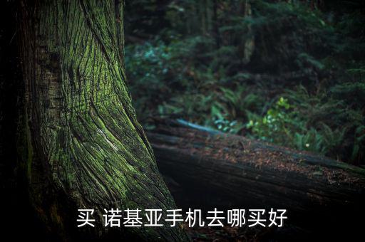 諾基亞三際專賣店怎么樣,諾基亞手機怎么辦?別慌!