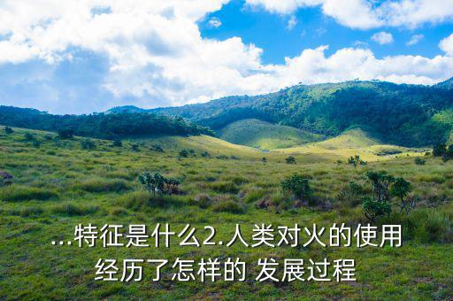 ...特征是什么2.人類對(duì)火的使用經(jīng)歷了怎樣的 發(fā)展過程