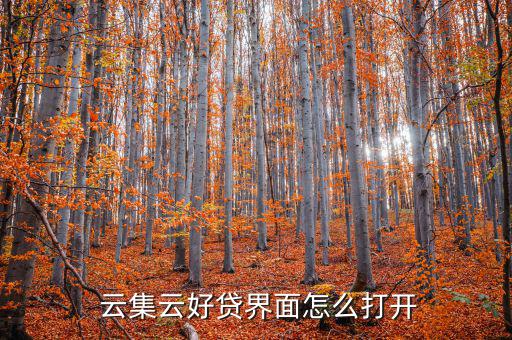  云集云好貸界面怎么打開(kāi)