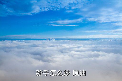 炒原油平臺怎么運(yùn)營,新手炒原油如何在線模擬投機(jī)?