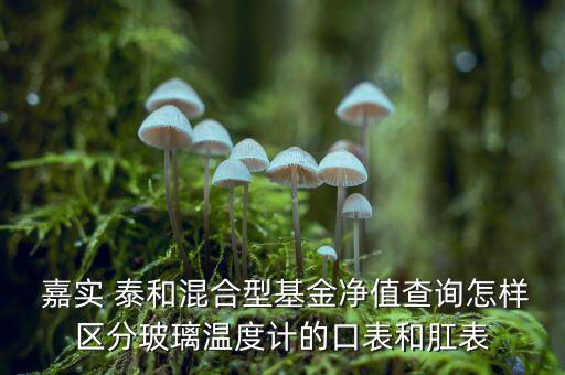  嘉實(shí) 泰和混合型基金凈值查詢(xún)?cè)鯓訁^(qū)分玻璃溫度計(jì)的口表和肛表