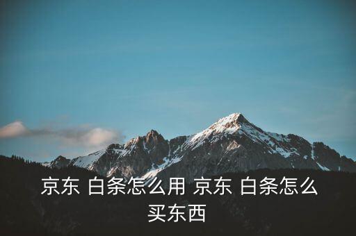  京東 白條怎么用 京東 白條怎么買(mǎi)東西