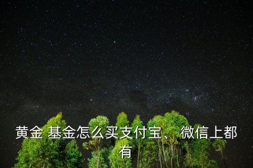 黃金 基金怎么買支付寶、 微信上都有