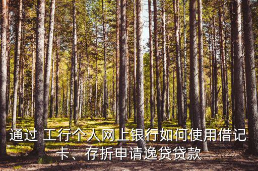 通過 工行個(gè)人網(wǎng)上銀行如何使用借記卡、存折申請(qǐng)逸貸貸款