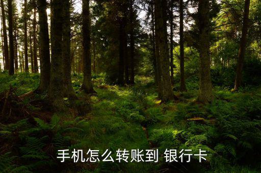  手機怎么轉賬到 銀行卡