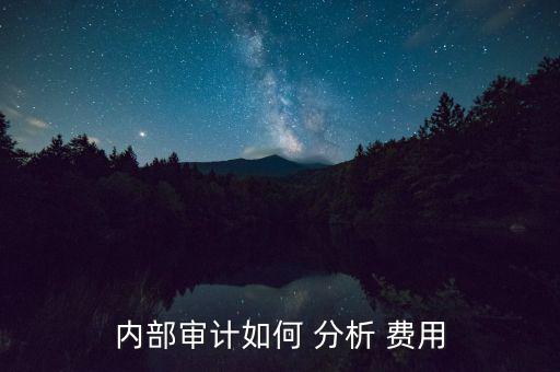 內部審計如何 分析 費用