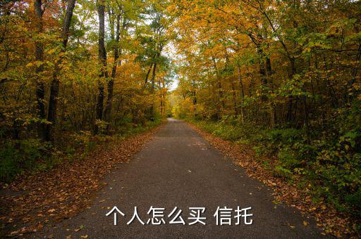 個(gè)人怎么買(mǎi) 信托