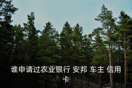誰申請過農業(yè)銀行 安邦 車主 信用卡