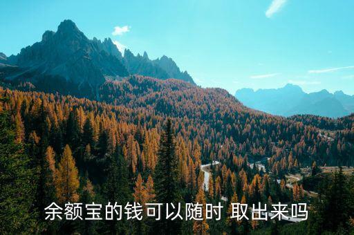 余額寶的錢可以隨時(shí) 取出來嗎